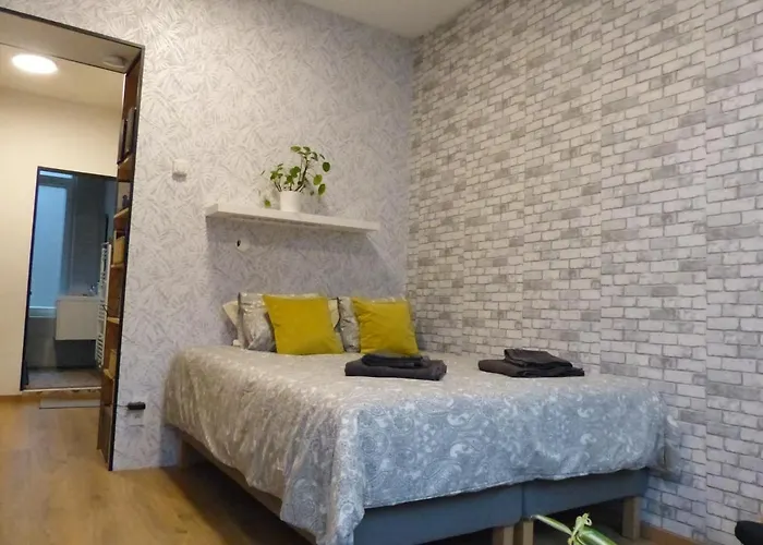 Superbe Studio Au 1Er Etage, Proche De La Gare Du Midi